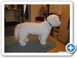 sam_0198